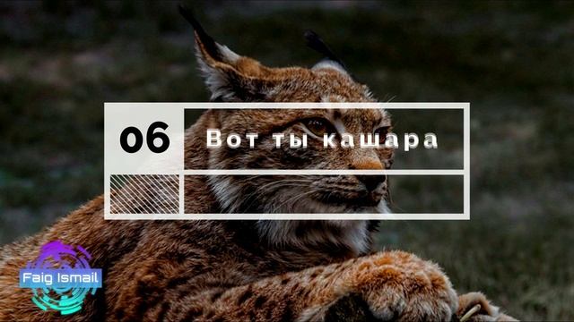Бакинский Словарь 0006 Любите свой город смотреть онлайн
