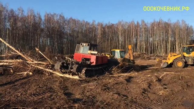 РАСЧИСТКА С/Х ПОЛЕЙ ОТ ДЕРЕВЬЕВ,КУСТОВ,КОРНЕЙ. РАСЧИСТКА ГАЗОПРОВОДА,НЕФТЕПРОВОДА,ЧАСТНЫХ УЧАСТКОВ