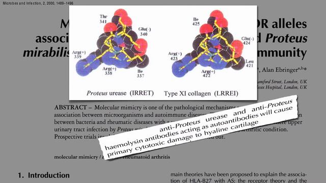 Flashback Friday: Why Do Plant-Based Diets Help Rheumatoid Arthritis?
