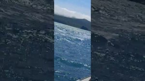 лодка из пнд. тест на море.