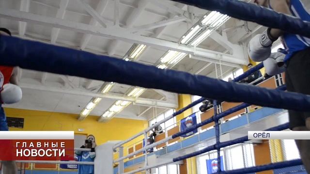 В Орле появилась своя «Лига бокса» смотреть онлайн