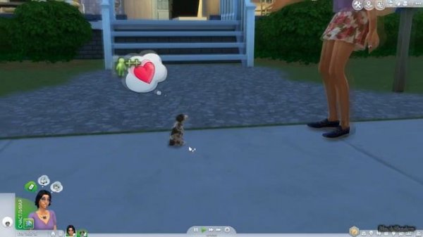 The SIMS 4 ?питомцы ? + как скачать симс со всеми дополнениями