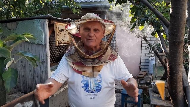Когда нужно отбирать рамки с медом для откачки смотреть онлайн