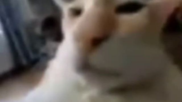 почему видео будут выходить реже [чит. опис.] смотреть онлайн