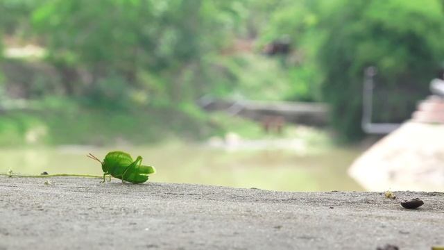 Manual focus on Sony FDR-AX100 4K смотреть онлайн