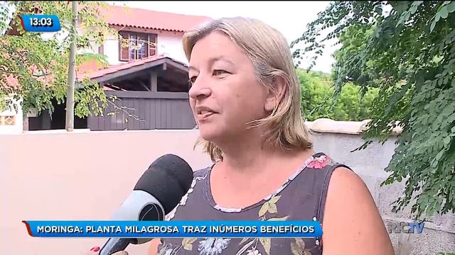 Moringa: Planta Milagrosa Traz Inúmeros Benefícios A Saúde