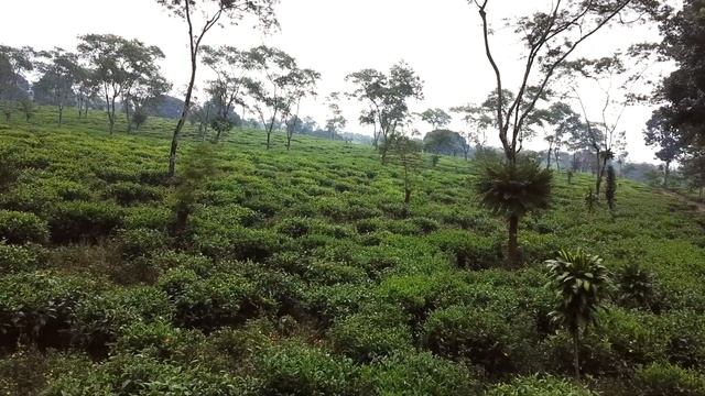 MALANG, EAST JAVA: off the beaten path смотреть онлайн