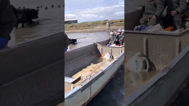 Рыбный промысел у Восточной-Сибирского моря #республикасаха #рыбаки #охота #рыба #якутия смотреть онлайн