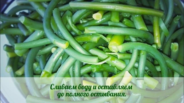 Анимационные Фильмы для Детей и Взрослых