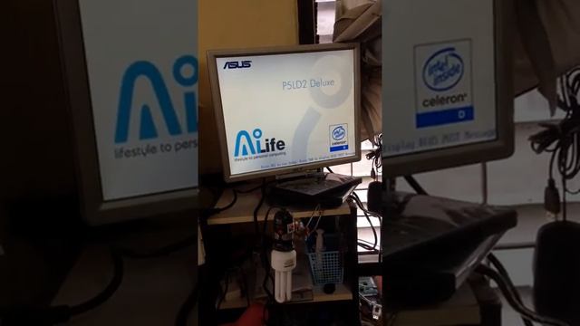 P5LD2 Deluxe смотреть онлайн