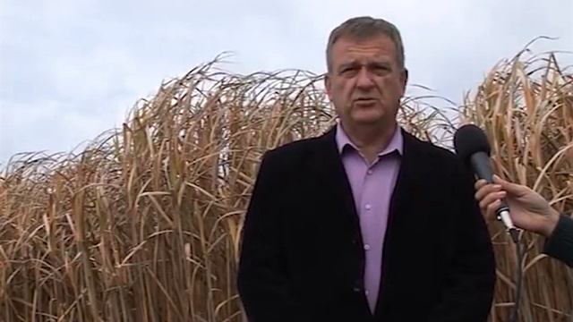 Ogrev - Proizvedite sami pelet od slonove trave! смотреть онлайн