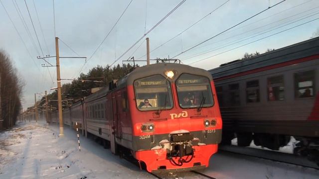 Встреча ЭТ2ЭМ-001 в Мельничный Ручей и ЭД4М-0373 из Невской Дубровки на пл. Ковалёво смотреть онлайн
