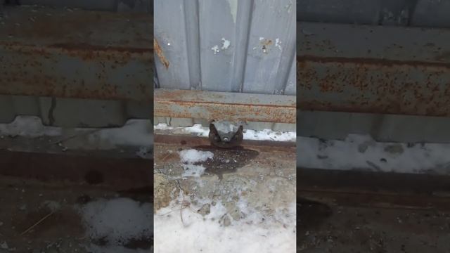 Откатные ворота своими руками смотреть онлайн