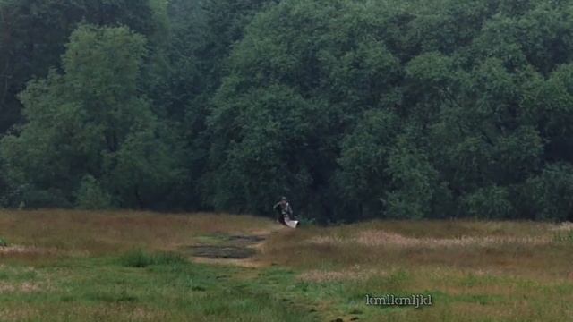 Monty Python and the Doom Slayer смотреть онлайн