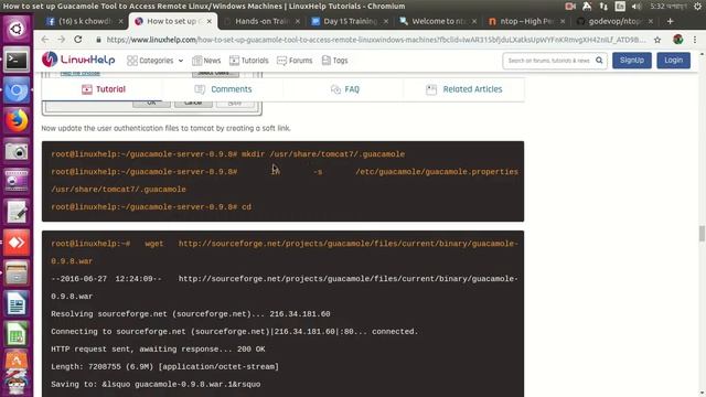 Guacamole смотреть онлайн