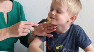 Интересное логопедическое занятие для детей «Фрукты». Урок логопеда. Развитие речи детей