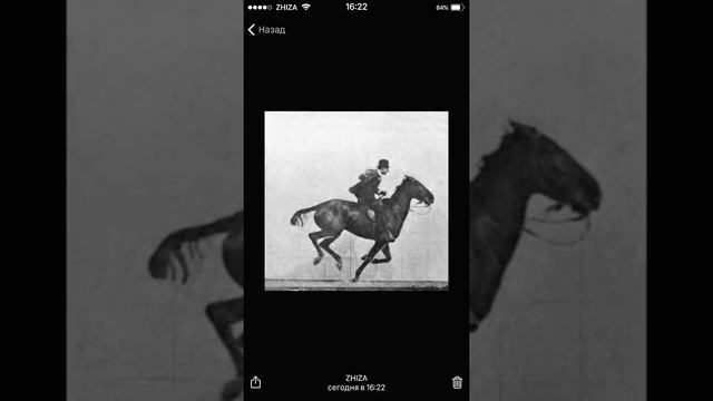 Самые странные олимпийские виды спорта | ЕСТЬ 5 МИНУТ? смотреть онлайн