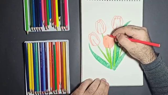 how easy it is to draw beautiful tulips (color pencil) ما مدى سهولة رسم زهور التوليب الجميلة смотреть онлайн