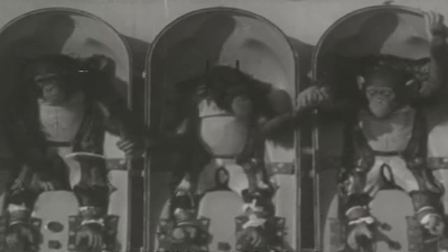 Soviet Space Dogs Beat American Space Monkeys смотреть онлайн