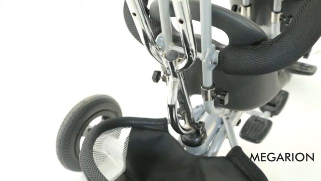 Трехколесный велосипед для двойни Small Rider Platinum ALT смотреть онлайн