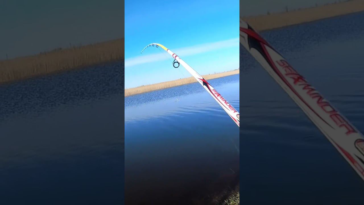 ВЕСНА В РАЗГАРЕ! КАРАСЬ ДУРЕЕТ)) смотреть онлайн