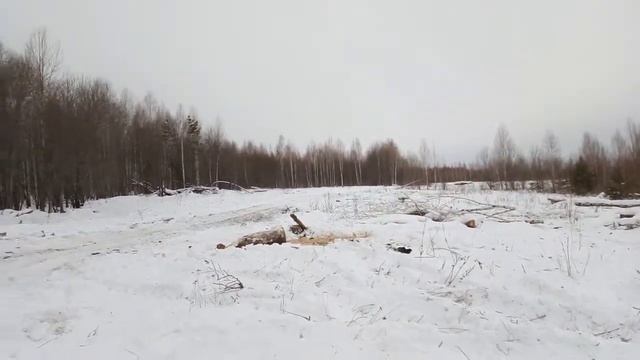 Погрузка дров