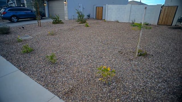 Front Yard Ideas from Aunt Caroline & Uncle Jimmy смотреть онлайн