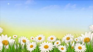 Детский футаж - Ромашковая полянка