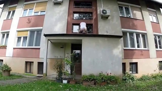 Координация движений смотреть онлайн