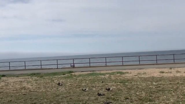 Сахалин, Невельск август 2019 смотреть онлайн