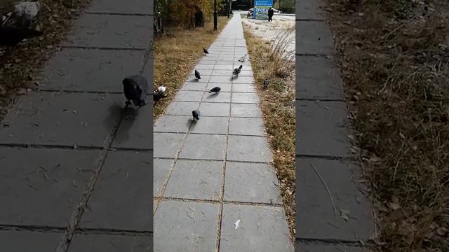 Природа Урала. смотреть онлайн