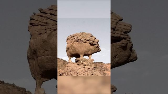 Фотографии вещей, которые притворились другими предметами, заставив нас взглянуть на них дважды смотреть онлайн