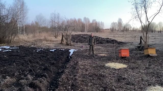 Перерабатываем старый сад в полезный ресурс. Готовимся к Пасхе смотреть онлайн
