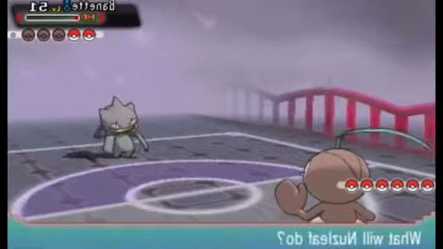 животные перфорация вокруг Маунтин Вью смотреть онлайн