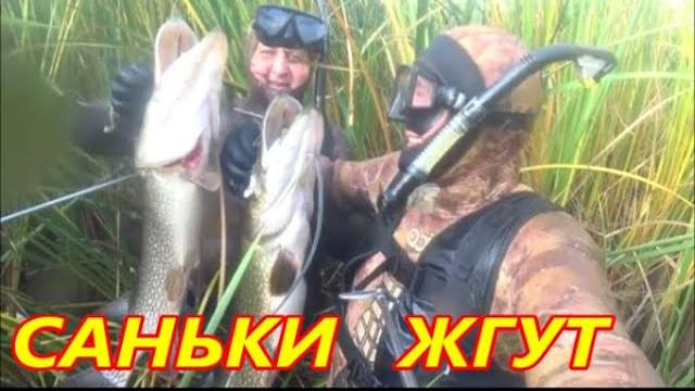 ОНИ СОЖРАЛИ ВСЕХ ,ПОДВОДНАЯ ОХОТА , ОСЕНЬ 2020 г