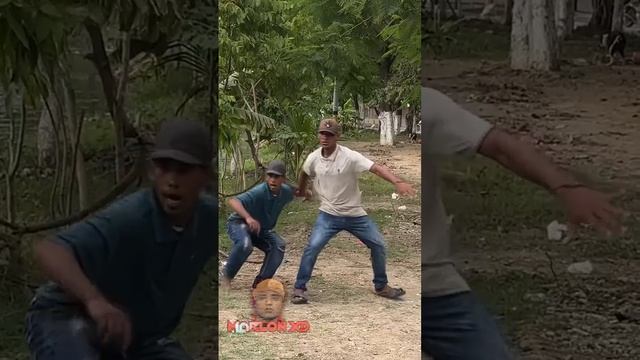 Пранк со львом над прохожими))) смотреть онлайн