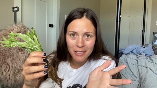 Unboxing Houseplants From GREENSPACES.ID | Plant Mail From Indonesia!