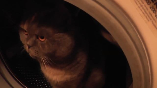 Устное собеседование 2023 - Ученик сдает экзамен Русский язык смотреть онлайн