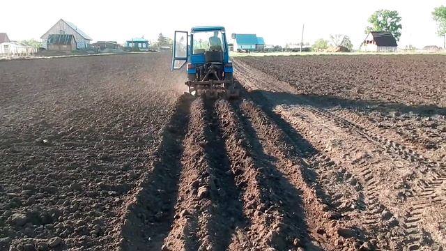 Посадка картофеля под окучник. смотреть онлайн