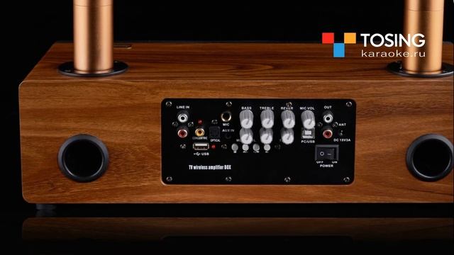 Караоке система для дома Jonsen PRO ARTIFACT | Колонка с двумя микрофонами для караоке смотреть онлайн