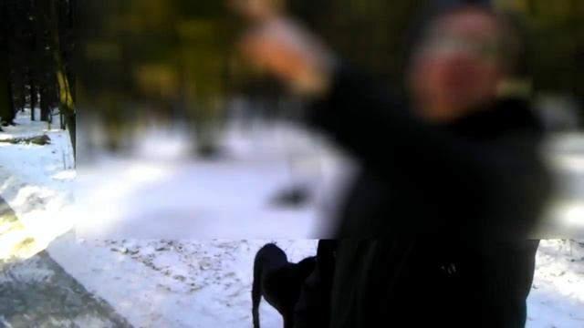 Выгул собаки без поводка смотреть онлайн