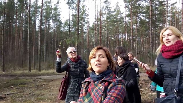"Белавежская пушча" ў Белавежскай пушчы/Беловежская пуща/Białowieża Forest смотреть онлайн