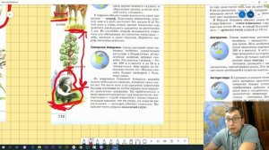 Жизнь на разных материках | Биология 5 класс