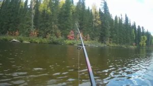 ХАРИУС НА УДОЧКУ! ГОРНАЯ РЫБАЛКА.(часть2).