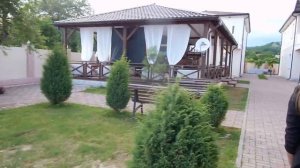 Абхазия Пальма 2 Пицунда