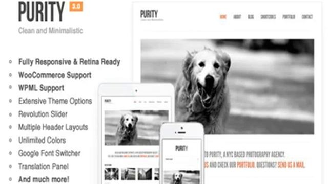 Purity: Responsive, Minimal & Bold WP Theme Nulled Download Working смотреть онлайн