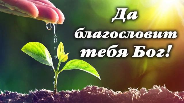 !+ ДА БЛАГОСЛОВИТ ТЕБЯ БОГ! смотреть онлайн