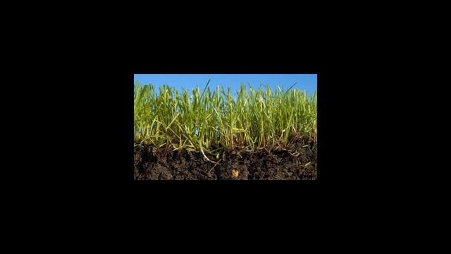 Чистота: инвестиция в гармонию и покой