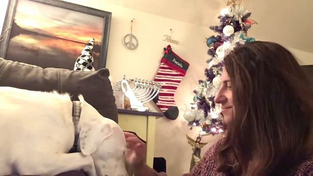 Love is Christmas with Leo смотреть онлайн