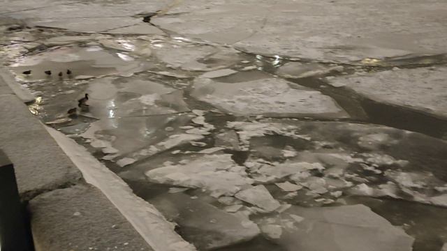 Река(1) смотреть онлайн